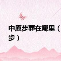中原步葬在哪里（中原步）
