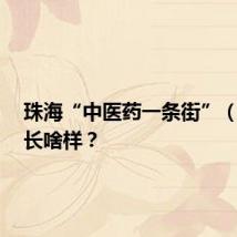 珠海“中医药一条街”(东街)长啥样?