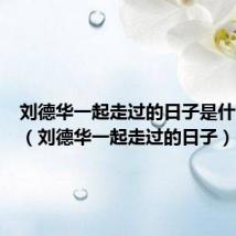 刘德华一起走过的日子是什么意思（刘德华一起走过的日子）