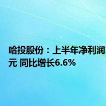 哈投股份：上半年净利润1.14亿元 同比增长6.6%