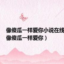 像傻瓜一样爱你小说在线阅读(像傻瓜一样爱你)