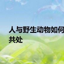 人与野生动物如何和谐共处