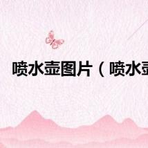 喷水壶图片（喷水壶）