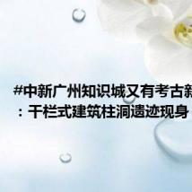 #中新广州知识城又有考古新发现#:干栏式建筑柱洞遗迹现身
