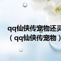qq仙侠传宠物还灵后悔(qq仙侠传宠物)