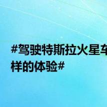 #驾驶特斯拉火星车是怎样的体验#