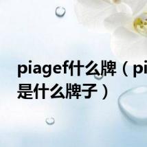 piagef什么牌(piaget是什么牌子)