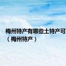 梅州特产有哪些土特产可以带走(梅州特产)
