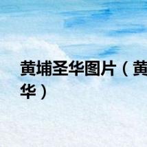 黄埔圣华图片（黄埔圣华）