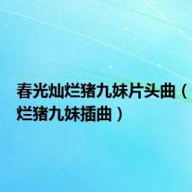 春光灿烂猪九妹片头曲（春光灿烂猪九妹插曲）