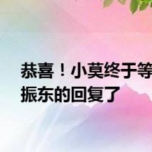 恭喜！小莫终于等到樊振东的回复了