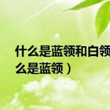 什么是蓝领和白领（什么是蓝领）