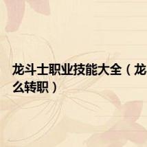 龙斗士职业技能大全(龙斗士怎么转职)