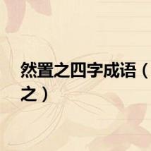 然置之四字成语（然置之）