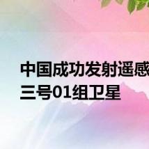 中国成功发射遥感四十三号01组卫星