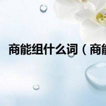商能组什么词（商能）