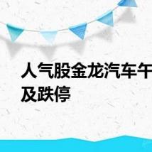 人气股金龙汽车午后触及跌停
