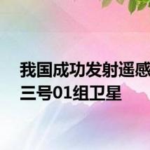 我国成功发射遥感四十三号01组卫星