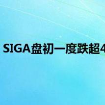 SIGA盘初一度跌超40%