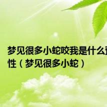 梦见很多小蛇咬我是什么预兆 女性(梦见很多小蛇)