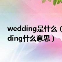 wedding是什么(wedding什么意思)