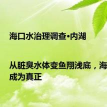 海口水治理调查·内湖|从脏臭水体变鱼翔浅底,海口内湖成为真正