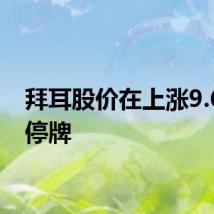 拜耳股价在上涨9.6%后停牌