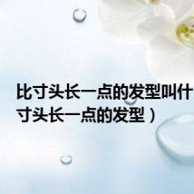 比寸头长一点的发型叫什么(比寸头长一点的发型)