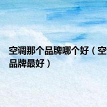 空调那个品牌哪个好（空调哪个品牌最好）