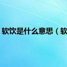 软饮是什么意思（软饮）