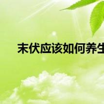 末伏应该如何养生