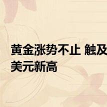 黄金涨势不止 触及2490美元新高