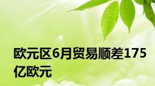 欧元区6月贸易顺差175亿欧元