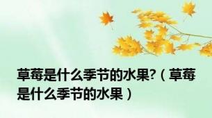 草莓是什么季节的水果?（草莓是什么季节的水果）