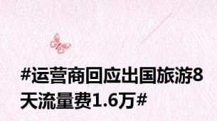 #运营商回应出国旅游8天流量费1.6万#