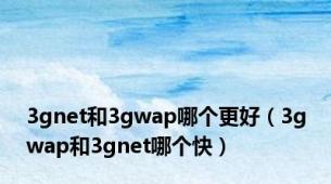 3gnet和3gwap哪个更好（3gwap和3gnet哪个快）