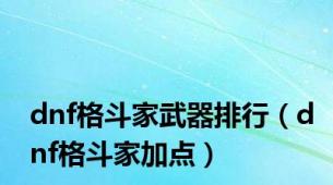 dnf格斗家武器排行（dnf格斗家加点）