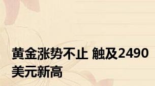 黄金涨势不止 触及2490美元新高