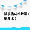 擒拿格斗术教学（擒拿格斗术）