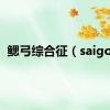 鳃弓综合征（saigon）