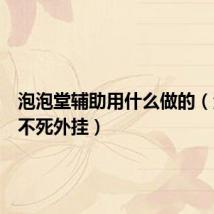 泡泡堂辅助用什么做的(泡泡堂不死外挂)