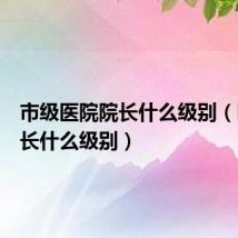 市级医院院长什么级别(医院院长什么级别)