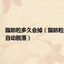 脂肪粒多久会掉（脂肪粒多久会自动脱落）