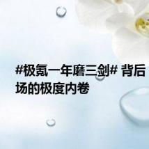 #极氪一年磨三剑# 背后,是市场的极度内卷