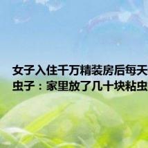 女子入住千万精装房后每天都在抓虫子:家里放了几十块粘虫板