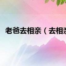 老爸去相亲（去相亲）