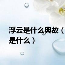 浮云是什么典故（浮云是什么）