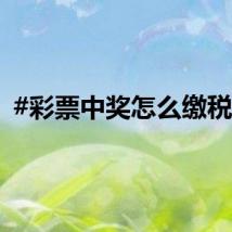 #彩票中奖怎么缴税#？