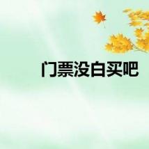 门票没白买吧