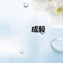 成毅